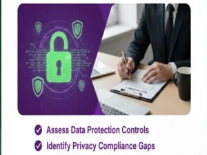 DPDP – Internal Audit Services – Nipto Coins LLP – NC401